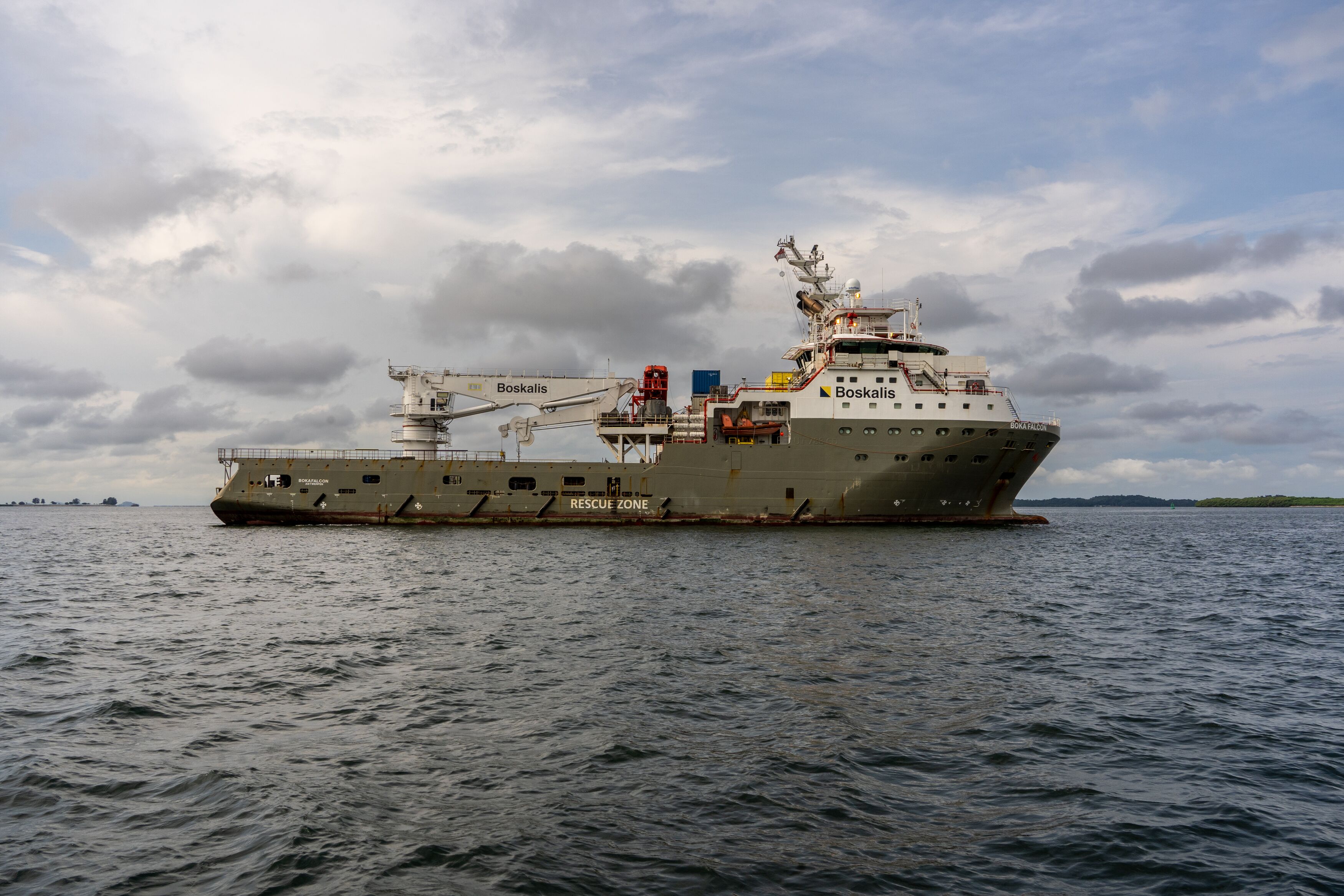 Large Boka Falcon @ Singapore 4311