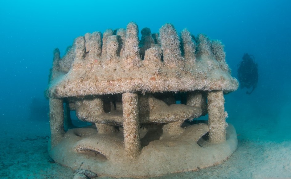 3D_printed_reefs_slider__6___Medium_.jpg