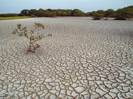 Water_Scarcity_8.7.2012_Overview_Image_HI_53628.jpg