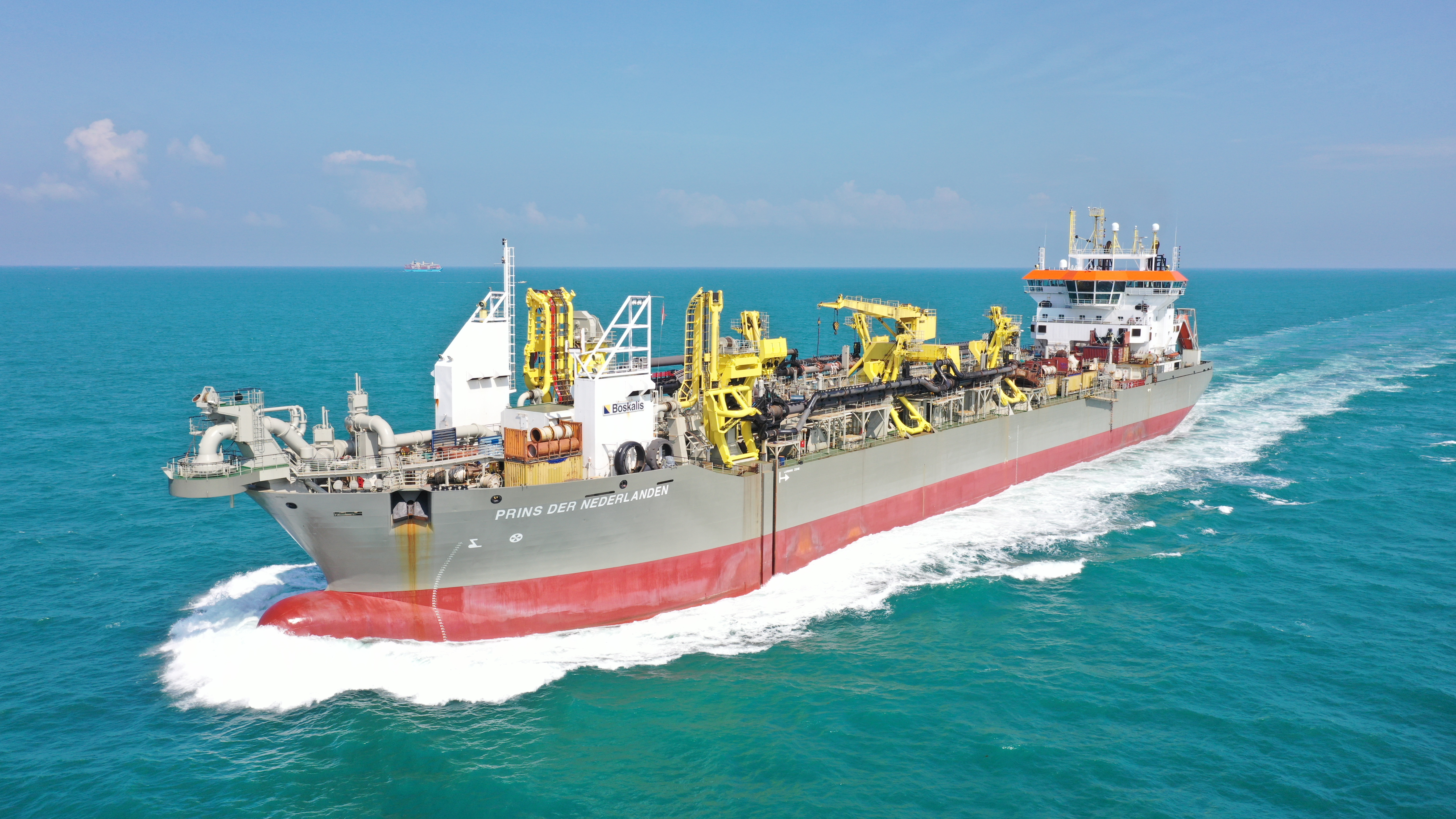 Prins Der Nederlanden (Plant Photo)