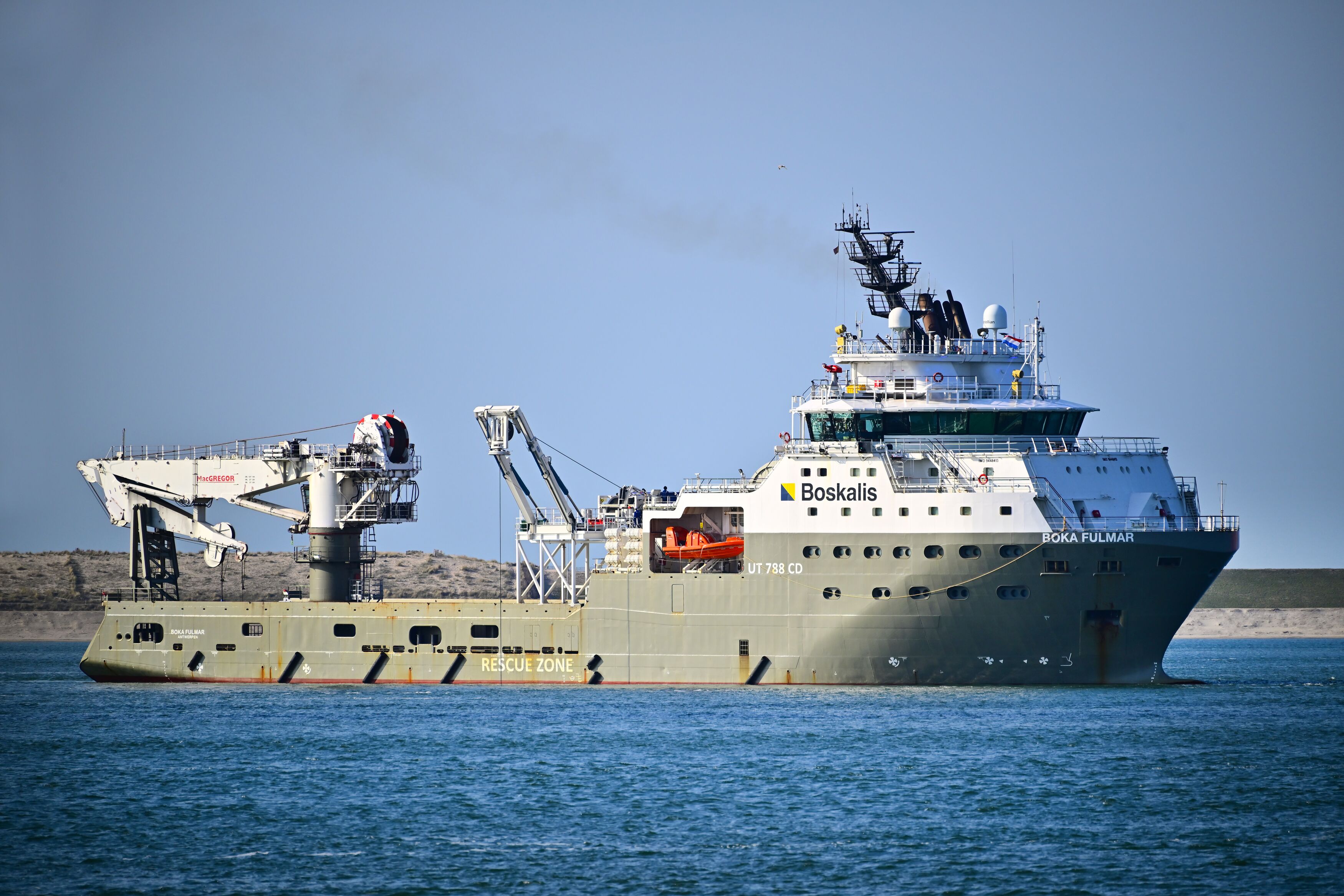 Large Boka Fulmar 03 03 HR (1)