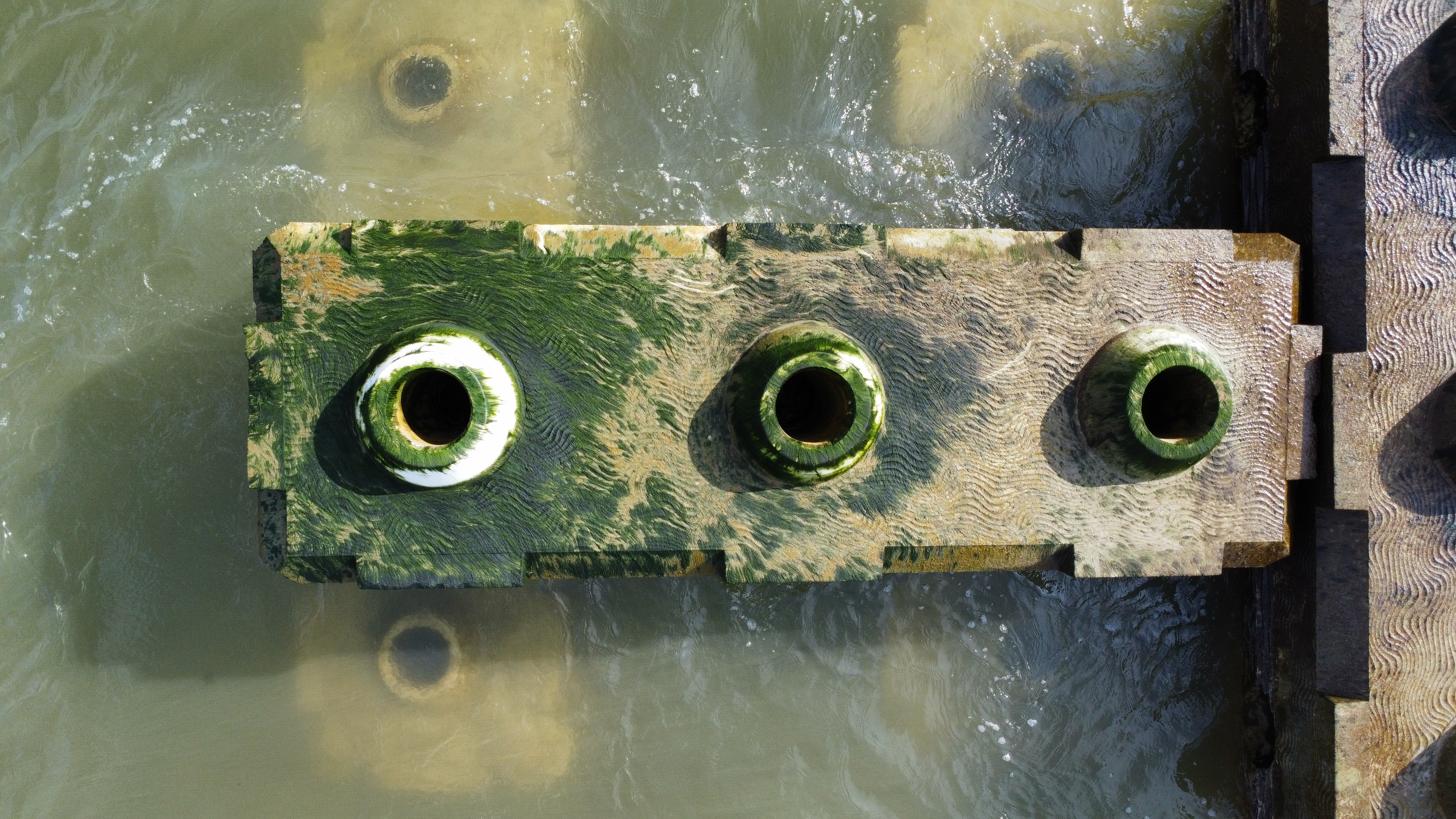 Rotterdam Reefs 2023 (1)