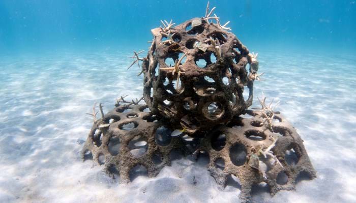 Artificial Reefs Program