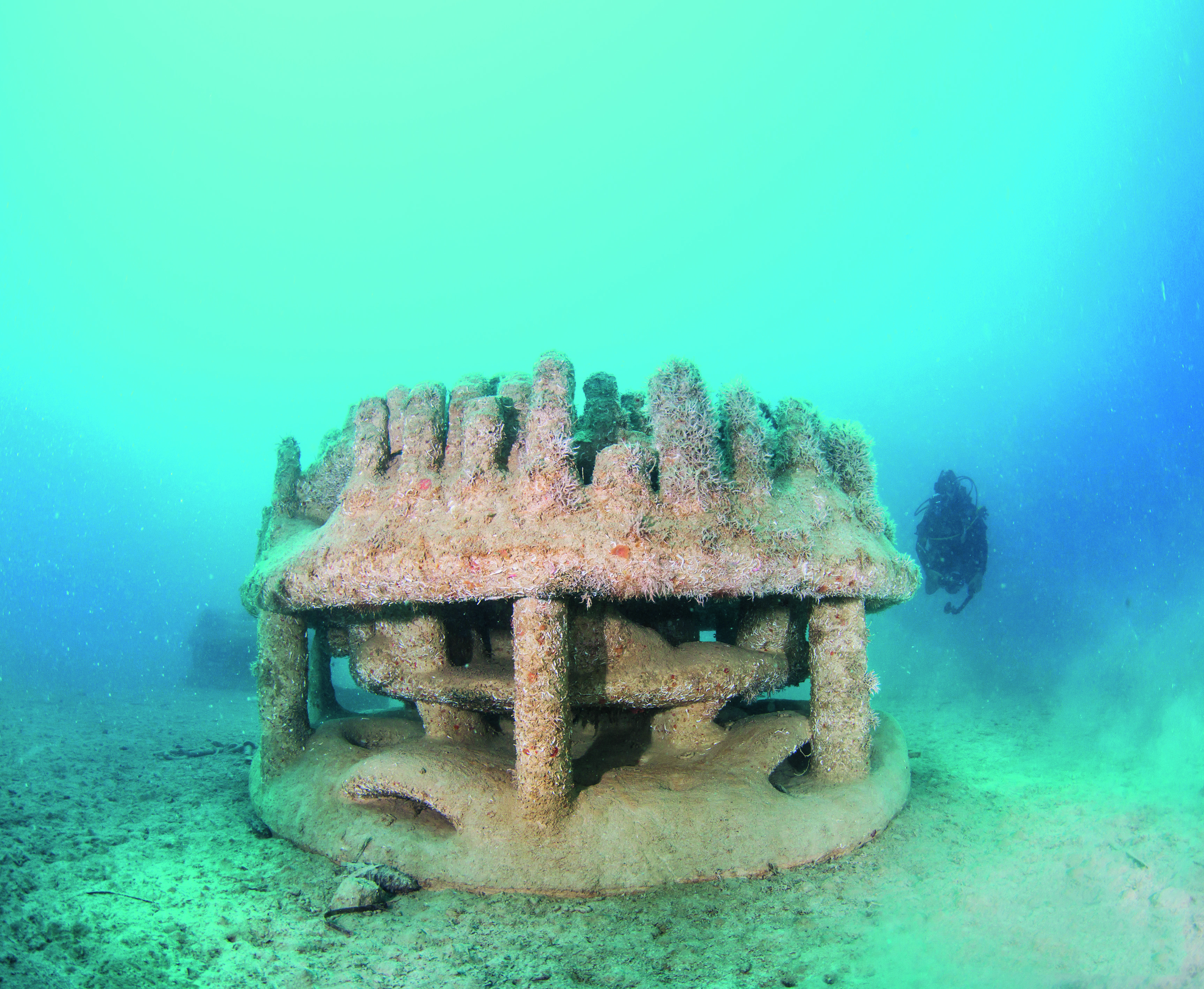 3D Printed Reef Units Installed In Monaco