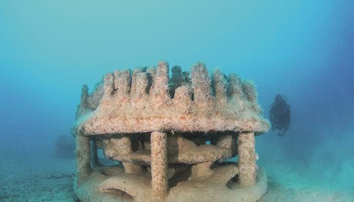 3D Printed Reef Units Installed In Monaco