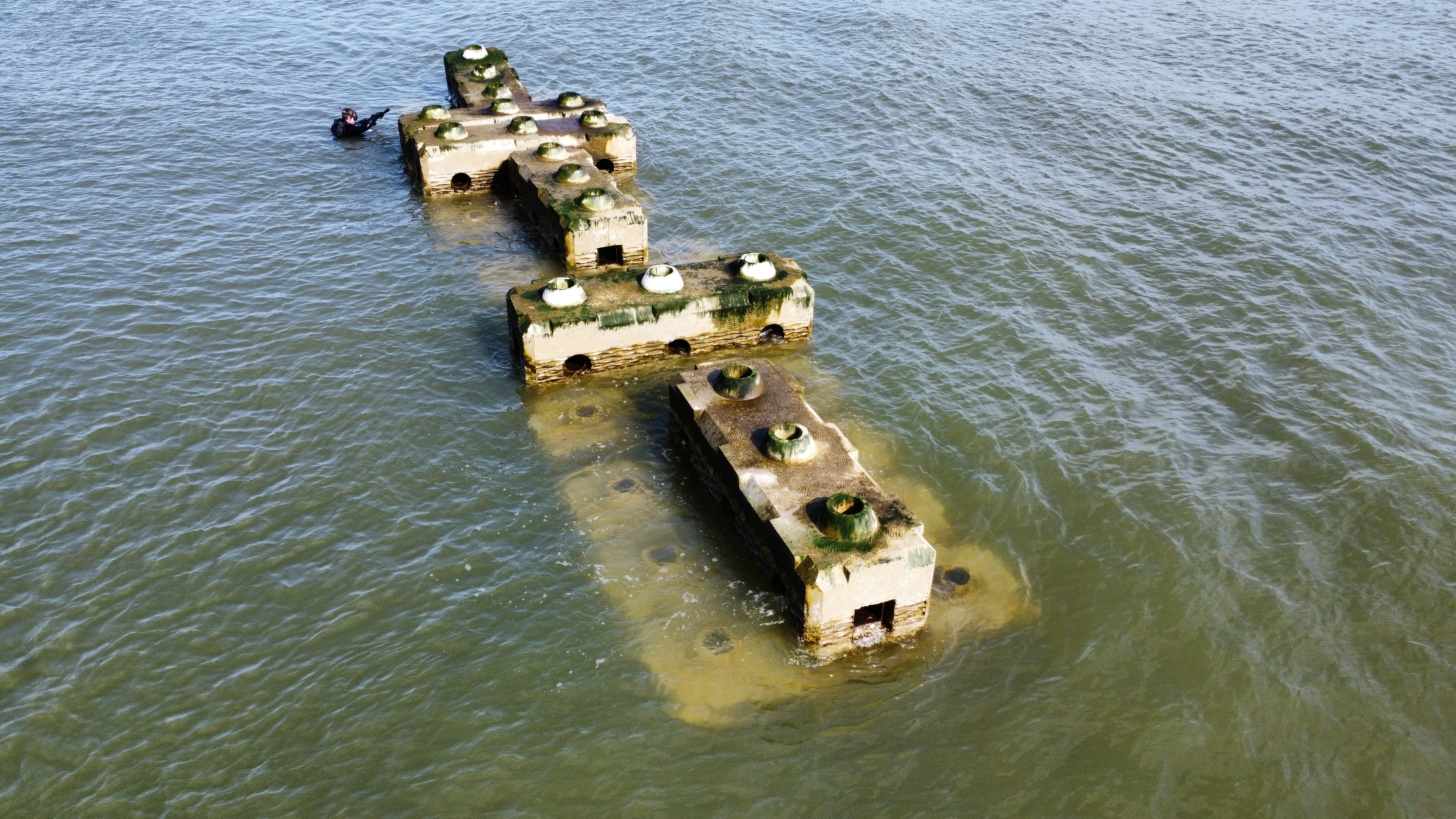 Rotterdam Reefs 2023 (2)